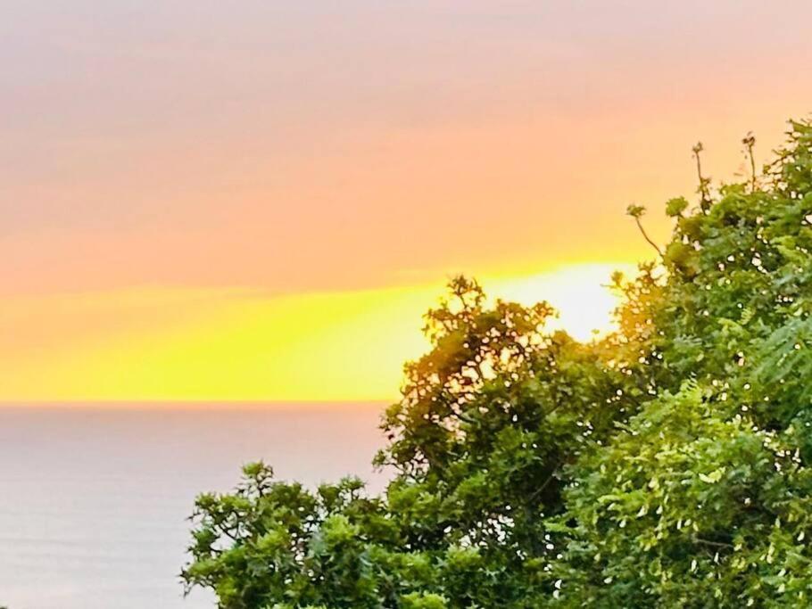 Sea View Sun Centre Διαμέρισμα Plettenberg Bay Εξωτερικό φωτογραφία